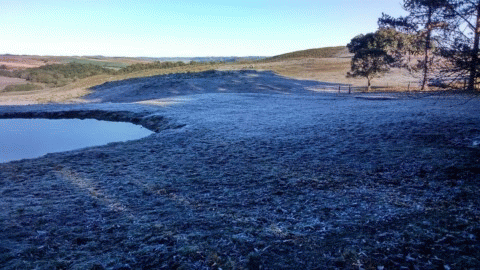 Sadroom : Do Fundo da Mente Vem as Piores Dores I